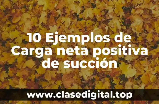 10 Ejemplos de Carga neta positiva de succión