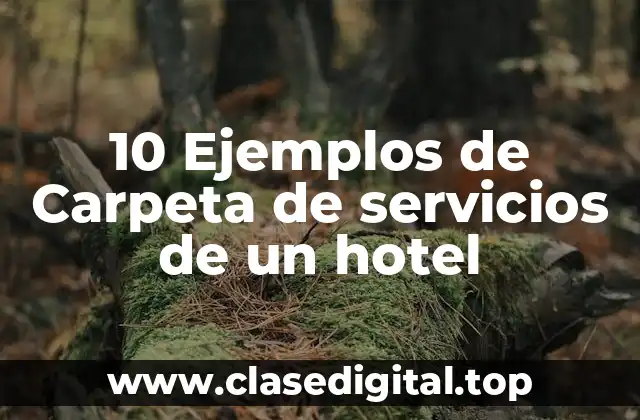 10 Ejemplos de Carpeta de servicios de un hotel