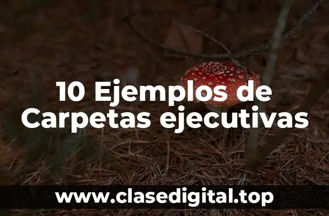 10 Ejemplos de Carpetas ejecutivas