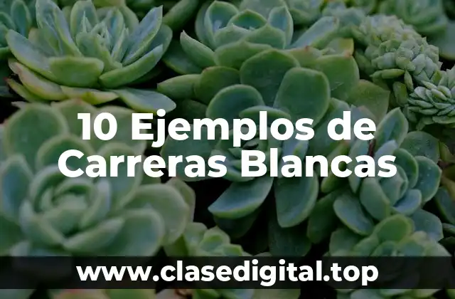 10 Ejemplos de Carreras Blancas