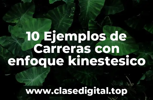 Ejemplos de carreras con enfoque kinestesico