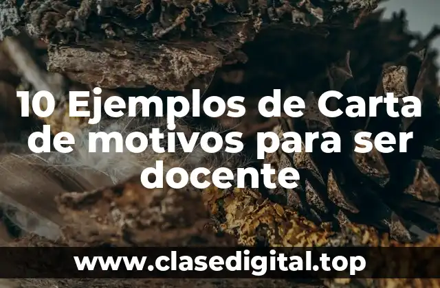 10 Ejemplos de Carta de motivos para ser docente
