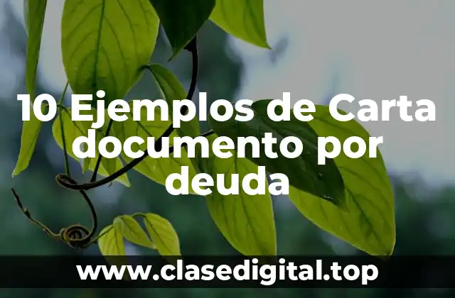 Ejemplos de carta documento por deuda