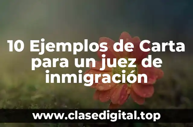 10 Ejemplos de Carta para un juez de inmigración