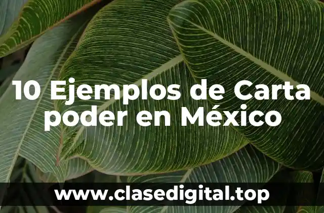 10 Ejemplos de Carta poder en México