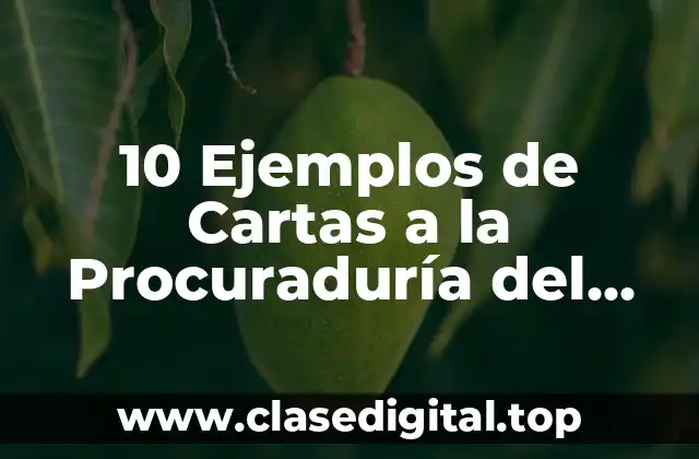 10 Ejemplos de Cartas a la Procuraduría del Menor