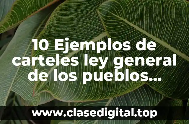 10 Ejemplos de carteles ley general de los pueblos indígenas