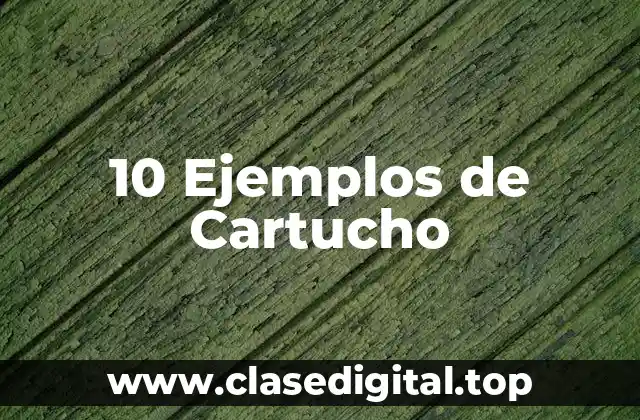 10 Ejemplos de Cartucho