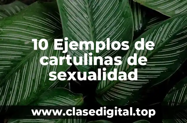 10 Ejemplos de cartulinas de sexualidad