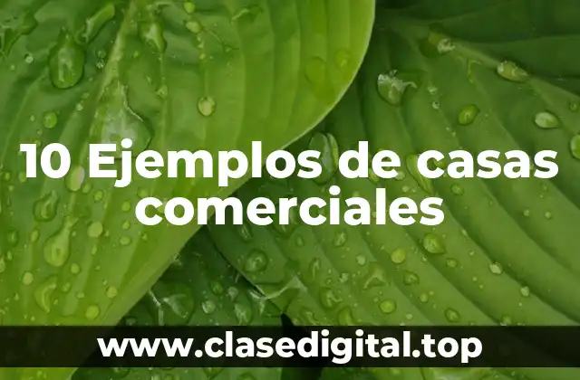10 Ejemplos de casas comerciales