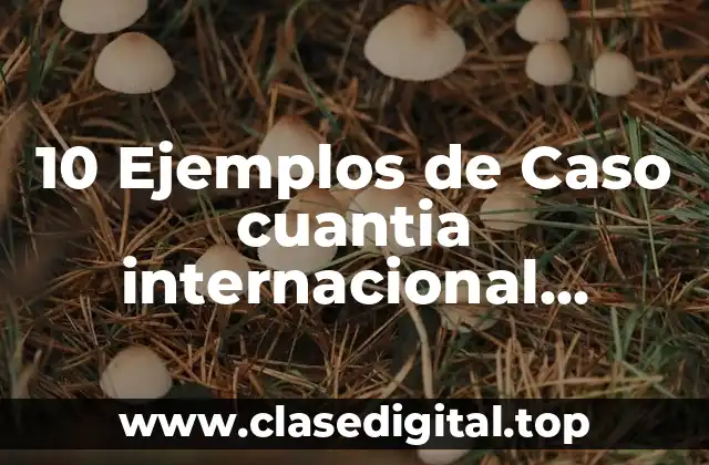 10 Ejemplos de Caso cuantia internacional privado