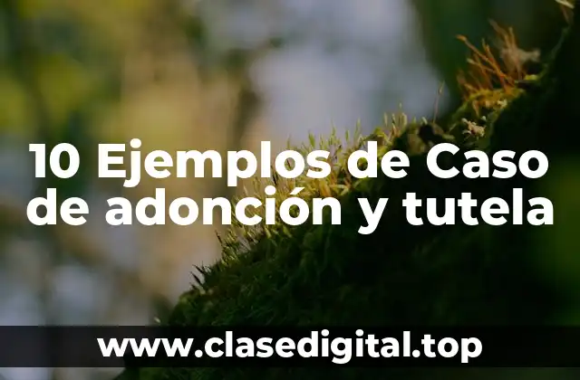 10 Ejemplos de Caso de adonción y tutela