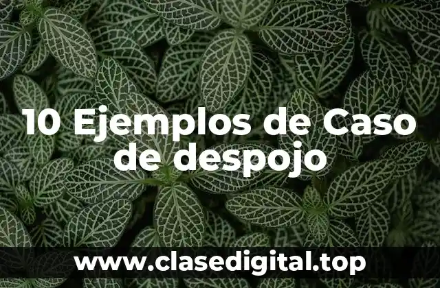 10 Ejemplos de Caso de despojo