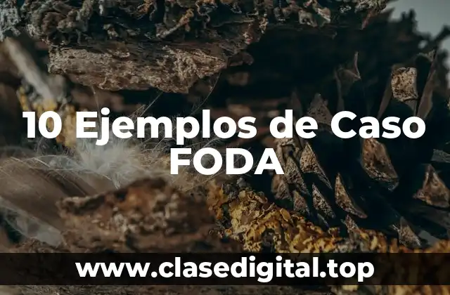 10 Ejemplos de Caso FODA