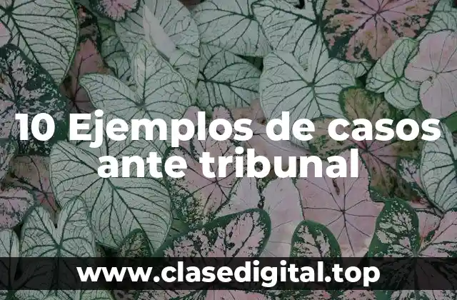 10 Ejemplos de casos ante tribunal