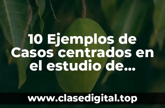 10 Ejemplos de Casos centrados en el estudio de descripciones
