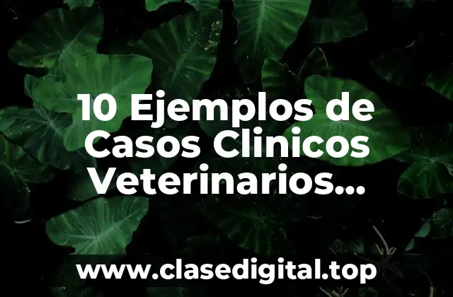 10 Ejemplos de Casos Clinicos Veterinarios Biometria Hematica