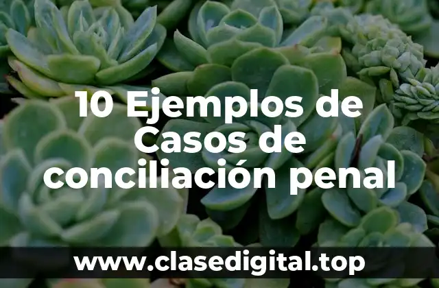 10 Ejemplos de Casos de conciliación penal
