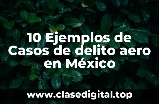10 Ejemplos de Casos de delito aero en México