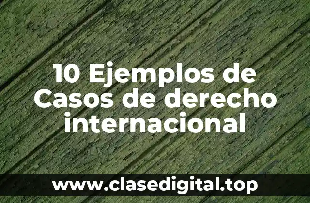10 Ejemplos de Casos de derecho internacional