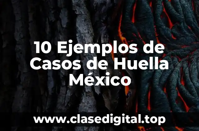 10 Ejemplos de Casos de Huella México
