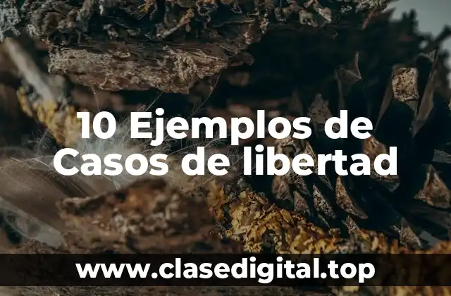 10 Ejemplos de Casos de libertad