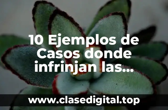 10 Ejemplos de Casos donde infrinjan las obligaciones ciudadanas