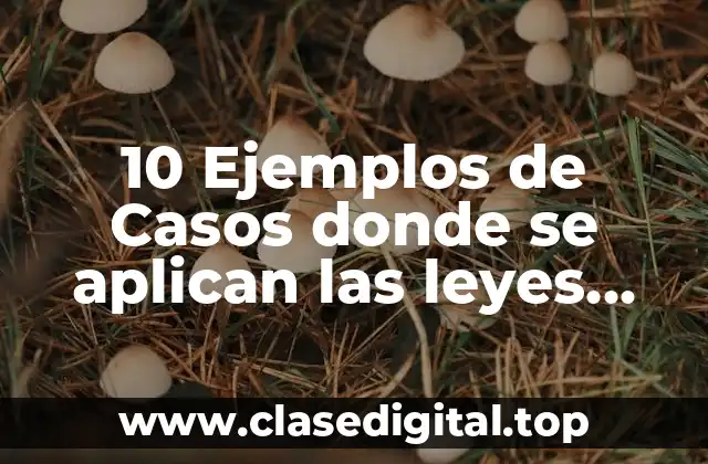 10 Ejemplos de Casos donde se aplican las leyes para defensa