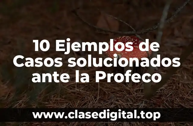 10 Ejemplos de Casos solucionados ante la Profeco