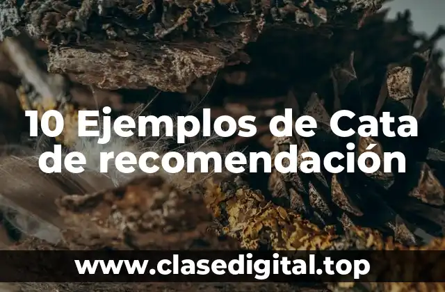 10 Ejemplos de Cata de recomendación
