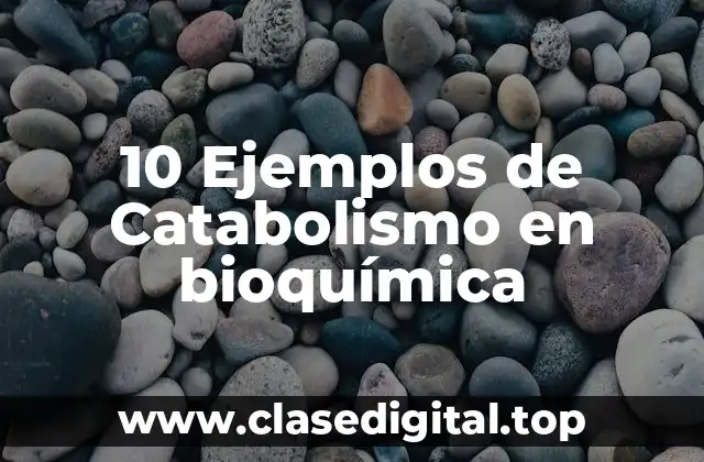10 Ejemplos de Catabolismo en bioquímica
