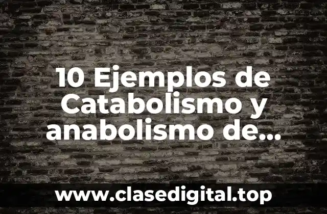 10 Ejemplos de Catabolismo y anabolismo de animales