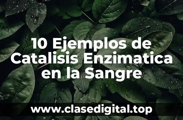 10 Ejemplos de Catalisis Enzimatica en la Sangre