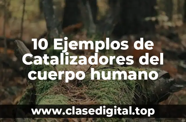10 Ejemplos de Catalizadores del cuerpo humano