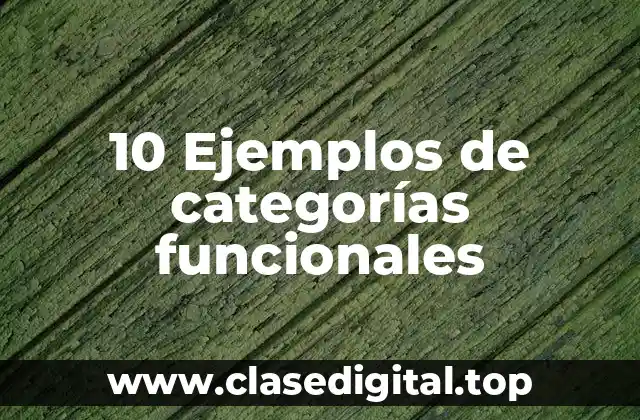 10 Ejemplos de categorías funcionales