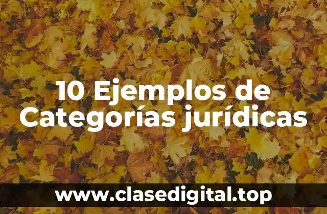 10 Ejemplos de Categorías jurídicas