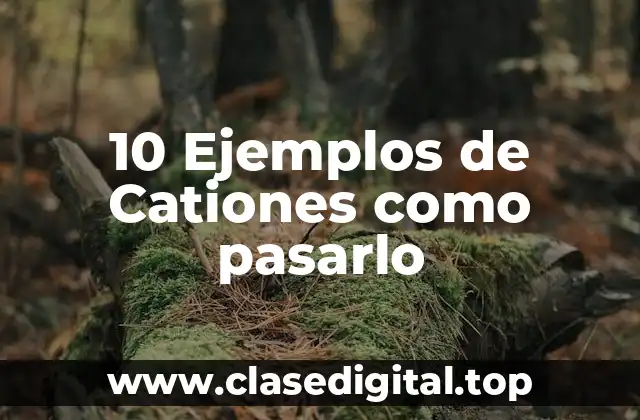 10 Ejemplos de Cationes como pasarlo