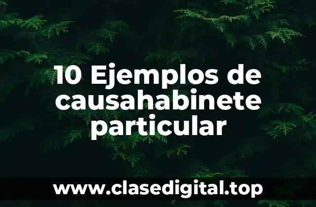 10 Ejemplos de causahabinete particular