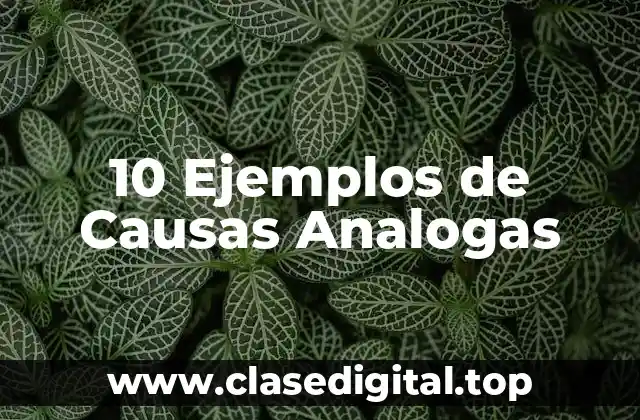 10 Ejemplos de Causas Analogas