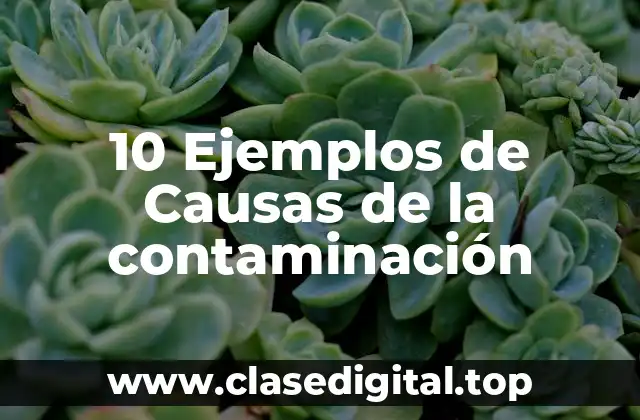10 Ejemplos de Causas de la contaminación