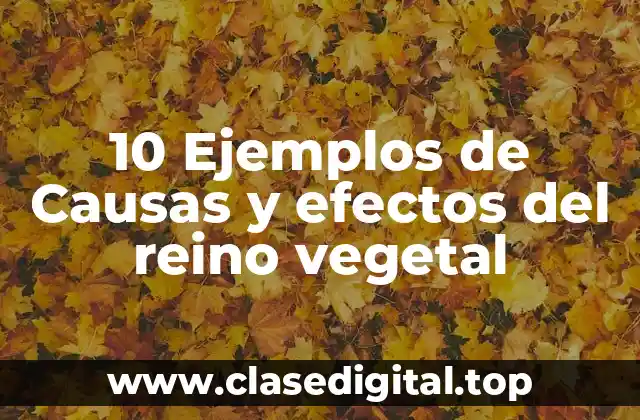 10 Ejemplos de Causas y efectos del reino vegetal