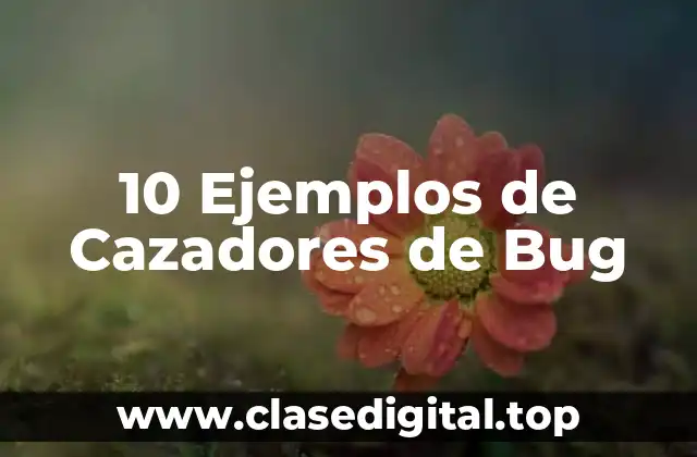 Ejemplos de Cazadores de Bug