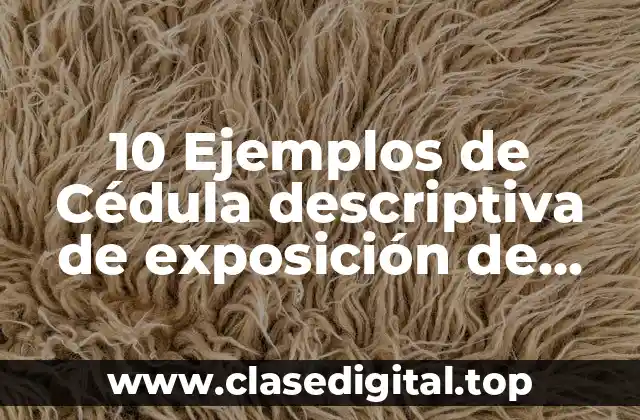 10 Ejemplos de Cédula descriptiva de exposición de pintura, Definición, Diferencias y para que sirve