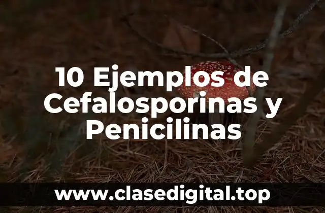 10 Ejemplos de Cefalosporinas y Penicilinas