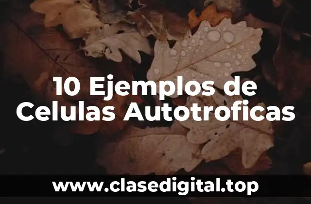 10 Ejemplos de Celulas Autotroficas