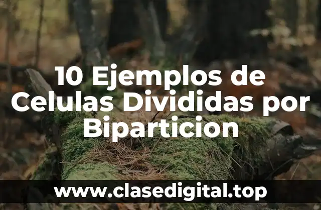 10 Ejemplos de Celulas Divididas por Biparticion