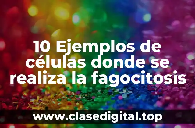 Ejemplos de células donde se realiza la fagocitosis