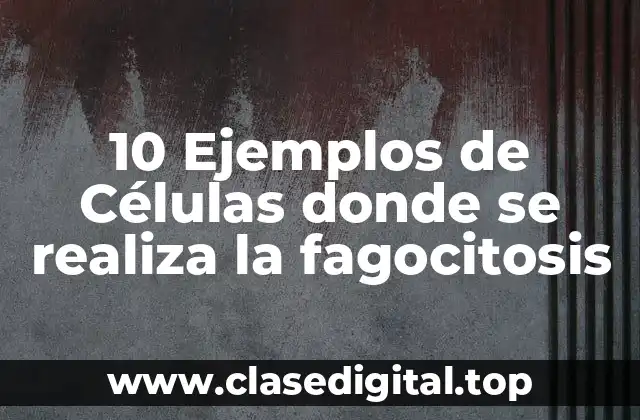 Ejemplos de células donde se realiza la fagocitosis