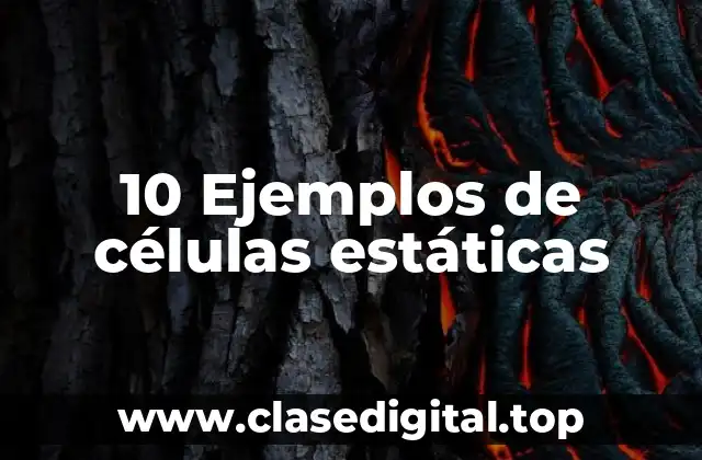 10 Ejemplos de células estáticas