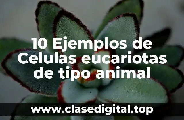 10 Ejemplos de Celulas eucariotas de tipo animal